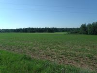 15.9 Ac Duck Creek Road