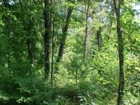 17.75 Ac County Road G