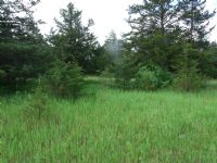 Lot 25 Connor's Cove