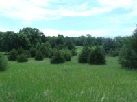 Lot 36 Peacock Ln