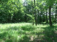 N4516 Fox River Drive