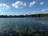 L2 Metcalf Lake